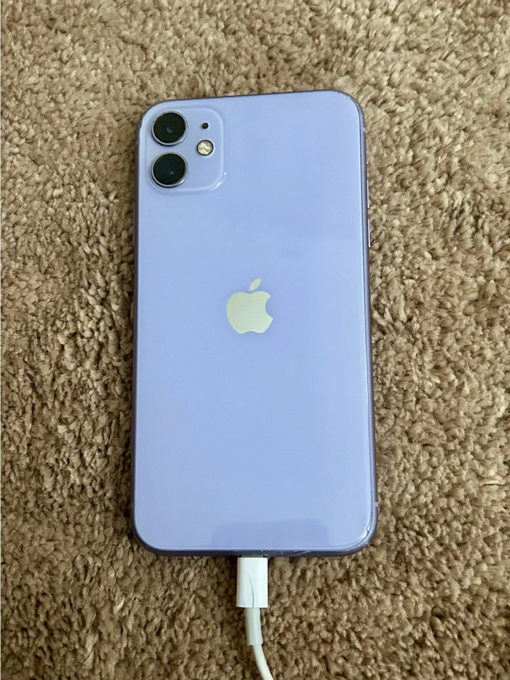 Apple iPhone 11 Lavender Back Cover - Dual Camera Model
